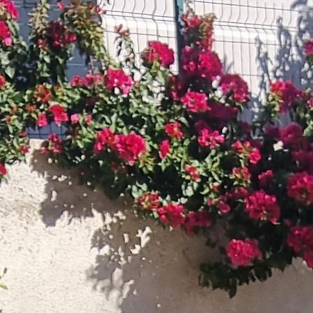 Vila Megi-Rent Room Vlorë 外观 照片
