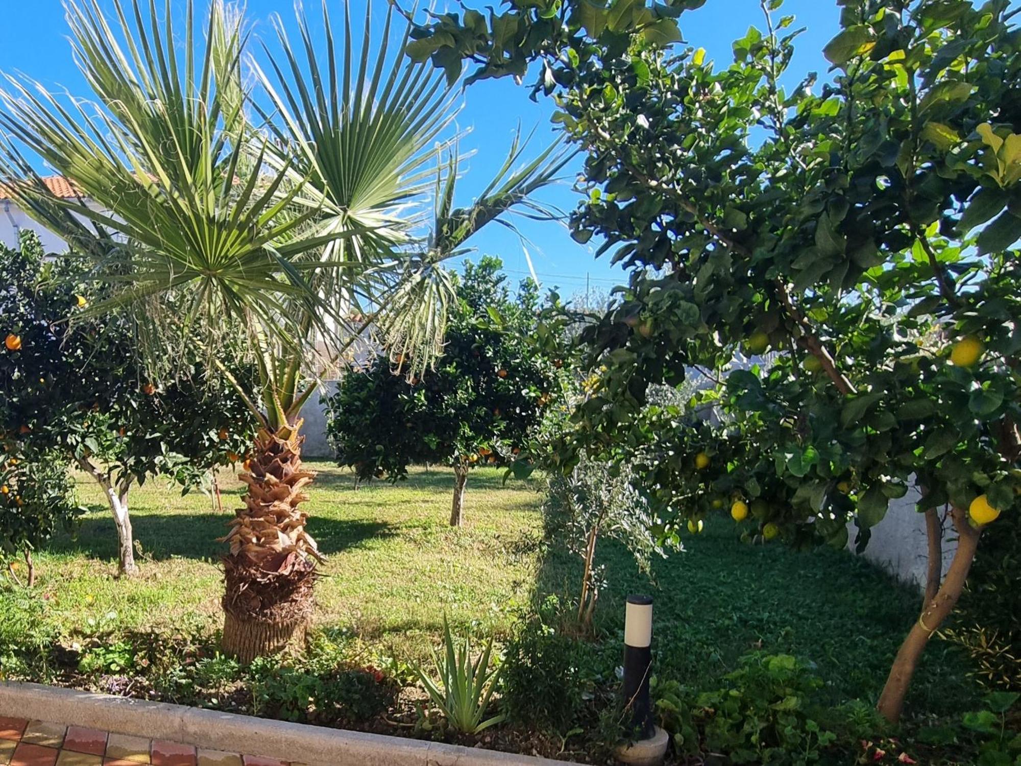 Vila Megi-Rent Room Vlorë 外观 照片